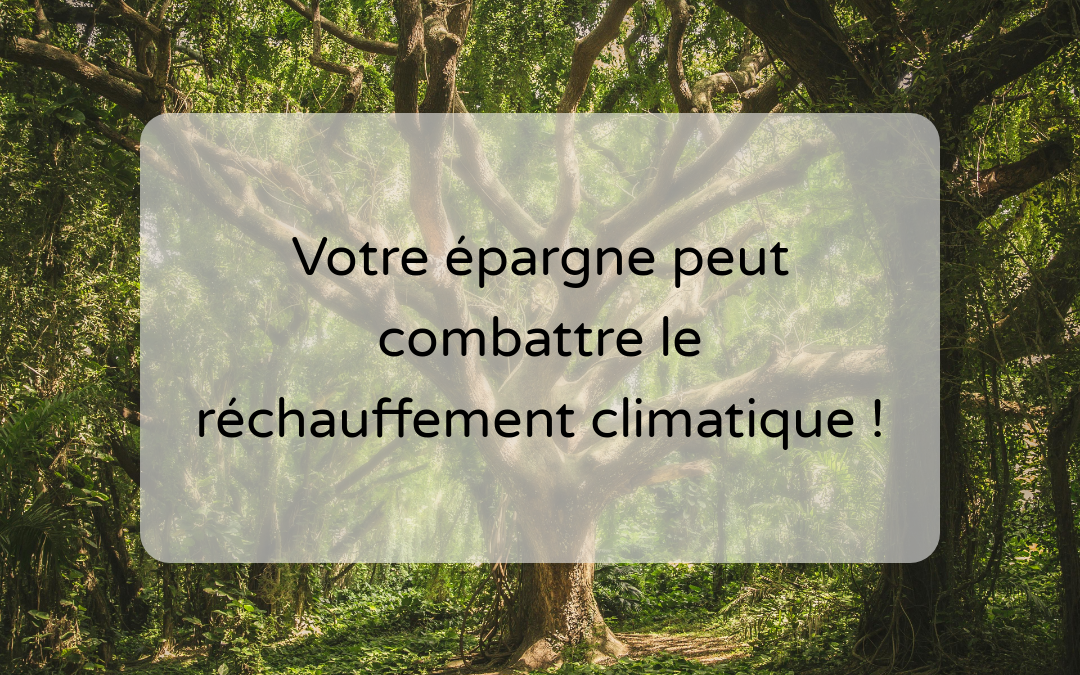 L'investissement forestier pour éviter le réchauffement climatique